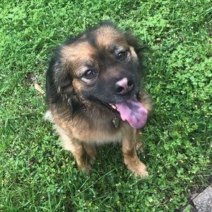 Meet your Posher, Maria